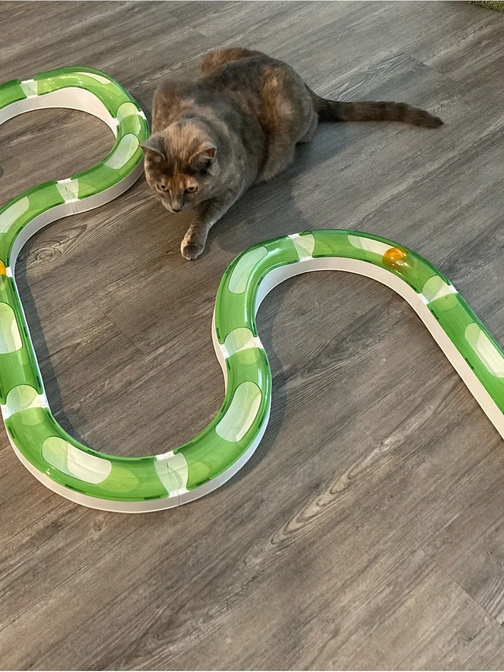 Interactive Cat Track Toy - 14 Piece Set